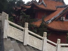 -铁山坪森林公园