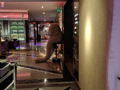 -纯K(打浦桥店)