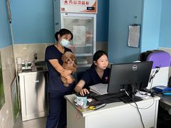 -哆趣宠物医院·眼科·内镜·急重症转诊中心(上海店)