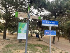 -日照海滨国家森林公园