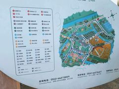-苏州太湖西山岛开心农场