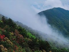 -梁野山景区