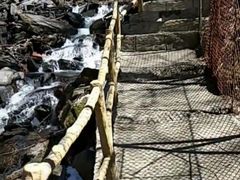 -凤凰山国家森林公园