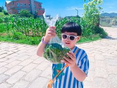 -大连北马山庄
