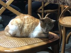 -龙眼市场(龙眼南路店)