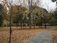 -长安大学(北校区)