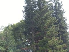 -四海公园(南山区)