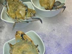 -海玥荟海鲜姿造自助餐厅(欧罗巴广场店)