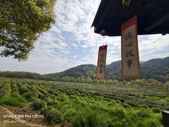 -中国茶叶博物馆(双峰馆区)