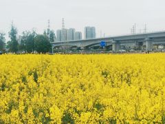 -白鹭湾湿地公园