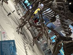 -国家自然博物馆