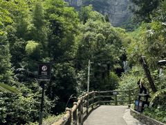 -鹿院坪生态旅游景区