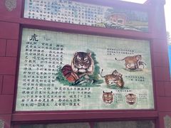 -保定市动物园