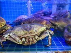 -鼓歌海鲜舫·手抓海鲜(大学城店)