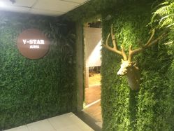 -V-STAR威斯达•高级私人定制