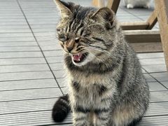 -前叁門