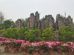-秀丽东方