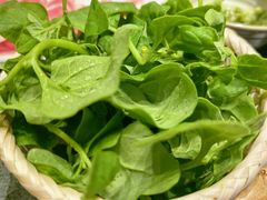 -山悦里 山野·鲜火锅(罗斯福广场店)