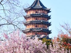-苏州上方山国家森林公园