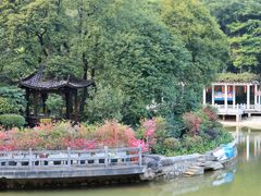 -广州市帽峰山景区