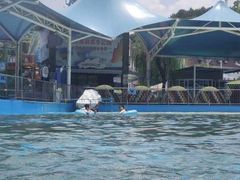 -杭州浪浪浪水公园