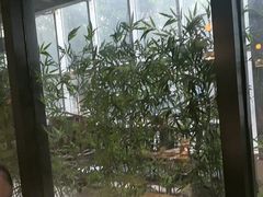 -金成潮菜博物馆(海珠湿地店)