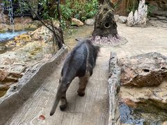 -长鹿旅游休博园