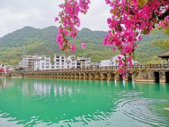 -靖西鹅泉风景区