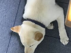 -千秋未来日韩语(天府五街校区)