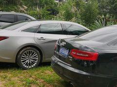 -将军关探险漂流