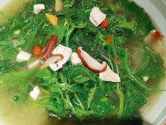 -大榕树下顺德菜(融创茂店)