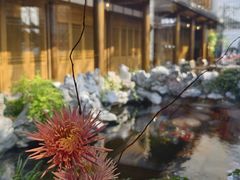 -鲤院·新中式美学·庭院餐厅(夫子庙店)