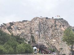 -西霞口神雕山野生动物世界