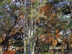 -长辛店二七公园