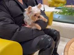 -帕帕拉兹宠物(亚洲旗舰店)