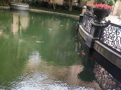 -上海浦东星河湾酒店