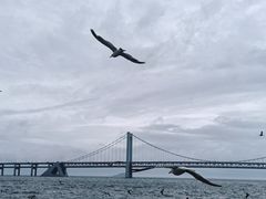 -星海广场