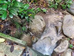 -武吉知马自然保护区