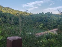 -广州白江湖森林公园