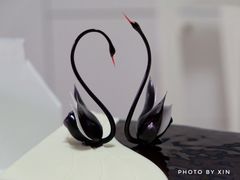 -BLACKSWAN黑天鹅(环球店)