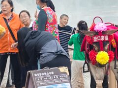 -陕西黄河壶口瀑布旅游区