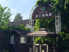 -金山农民画村-枫泾波兰倒置屋