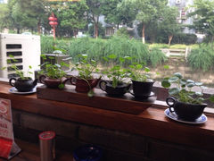 iphone_upload_pic-樟树底(胜利河美食街店)