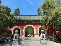 -灵谷景区