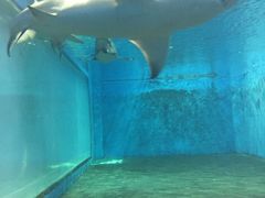 -北戴河圣蓝海洋公园