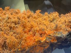 -湖南省地质博物馆