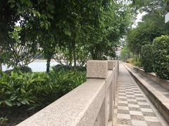 -龙舟池