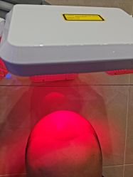 -碧莲盛·不剃发植发