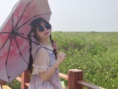 -北海金海湾红树林生态旅游区