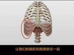 -卡莫瑜伽·普拉提